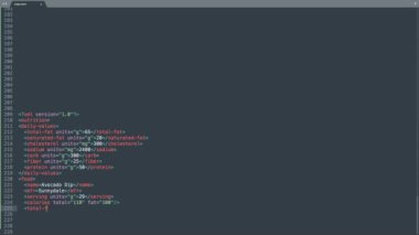 XML Genişletilebilir İşaretleme Dili Kaynak Kod Yazma Efekti. XML Ticker Renkli Komuta Düzenleyici Ekranı. Ağ Geliştirme Teknoloji Eğitimi. Koyu mavi arka plan. Mavi leylak sarısı turuncu turuncu renkli parlak ışık. 60 Saniye, 16: 9 Ekran Biçimi. 