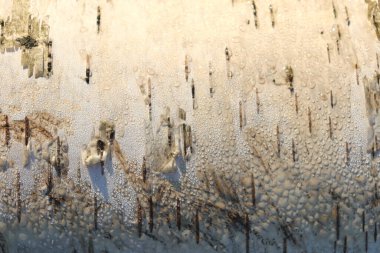 Güneşli huş ağacı kabuğu arka planı. Ağaç kabuğu dokusu.