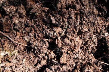 Gevşek toprak dokusu. Toprak zemin. Zemin arkaplanı.