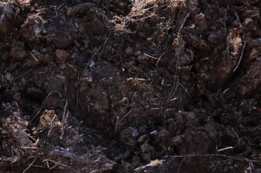 Gevşek toprak dokusu. Toprak zemin. Zemin arkaplanı.