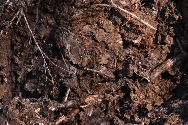 Arkaplan. Gevşek toprak dokusu. Kirli zemin.