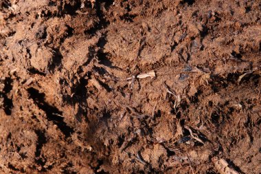 Gevşek toprak dokusu. Toprak zemin. Zemin arkaplanı.