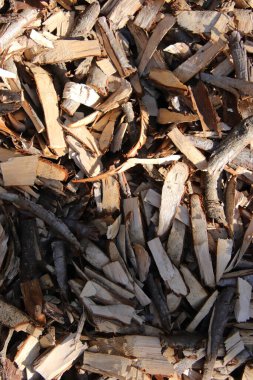 Birbirine kenetlenmiş huş ağacı parçaları. Arka planda bir sürü tahta parçası var..