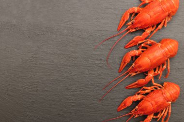 Kırmızı kaynamış kerevit yiyeceği. Lezzetli deniz ürünleri. Siyah taş arka planda pişmiş kırmızı kerevit. Metin için yer.