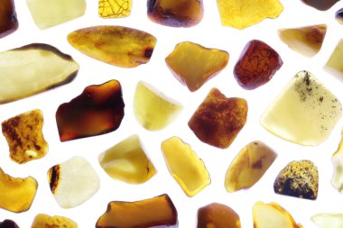 Kehribar nadir mücevher taşları dokusu yarım beyaz zemin üzerinde.