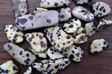 Dalmatian jasper heap up jewel stones texture on brown varnished wood background clipart