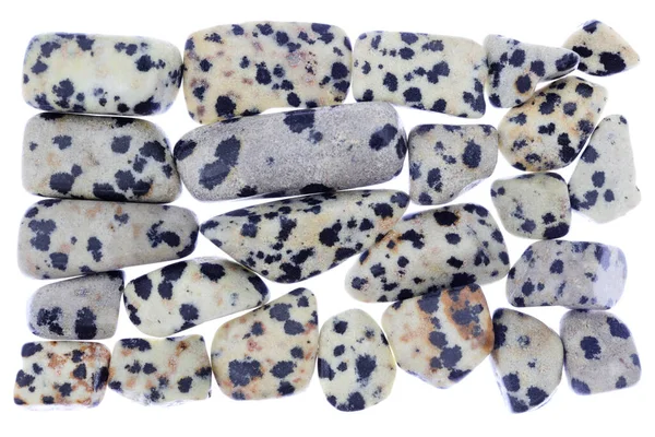 Dalmatian Jasper Heap Jóias Pedras Textura Fundo Moldura Luz Branca — Fotografia de Stock