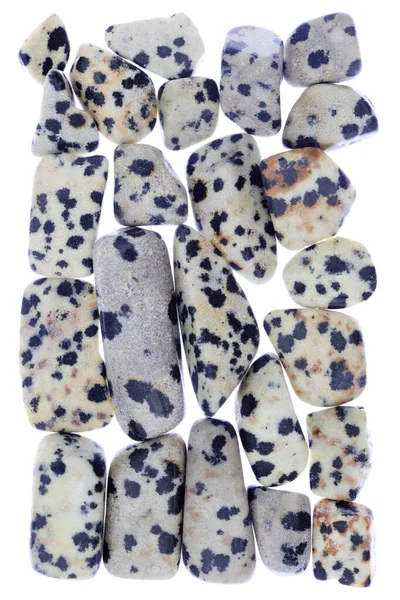 Dalmatian Jasper Heap Jóias Pedras Textura Fundo Moldura Luz Branca — Fotografia de Stock