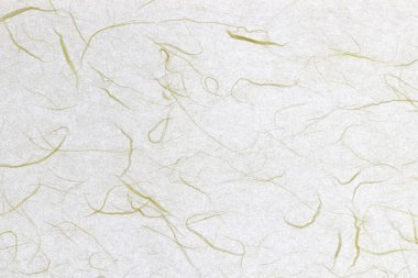 Bitki lifleri, dekore edilmiş kağıt arkaplan. İnce ipek lifler, dekoratif kağıt dokusu. Peyzaj yatay yönelimi.