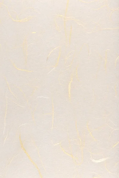 Cienkie Włókna Jedwabiu Dekoracyjne Tekstury Papieru Włosy Włókna Roślinnego Zdobią — Zdjęcie stockowe
