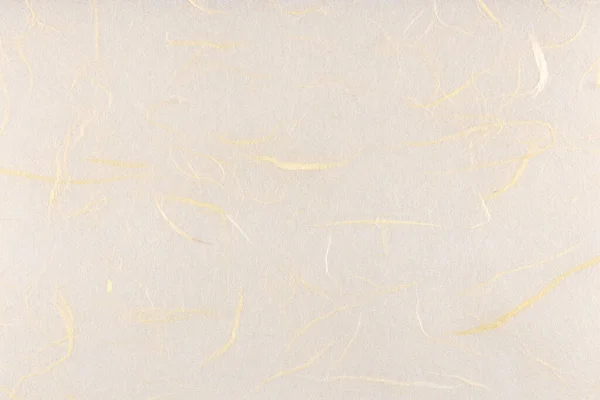 Cienkie Włókna Jedwabiu Dekoracyjne Tekstury Papieru Włosy Włókna Roślinnego Zdobią — Zdjęcie stockowe