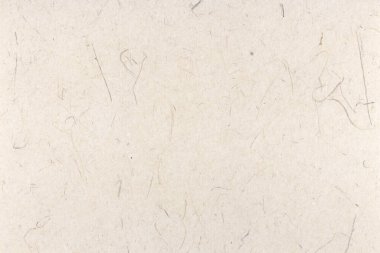 Pirinç aromalı dekoratif kağıt dokusu. Madalyalı bitki lifli kağıt arkaplan. Peyzaj yatay yönelimi.