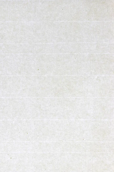 Díszített Vintage Pergamen Papír Háttér Dekoratív Kraft Papír Textúra Portré — Stock Fotó