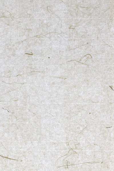 Ozdobione Tło Papieru Roślinnego Ryżowy Zapach Dekoracyjny Papier Tekstury Portret — Zdjęcie stockowe