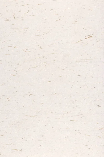 Włókna Roślinne Dekoracyjne Tekstury Papieru Ozdobione Tło Papieru Zapachowego Ryżu — Zdjęcie stockowe