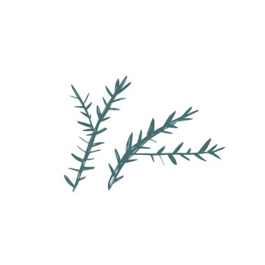 Asgari el çizimi köknar dalları İskandinav halk tarzında doku ve organik şekillerle çizildi. Noel kartları, ambalajlar, posterler, duvar resimleri, tekstil için mükemmel. Vektör İllüstrasyonu.