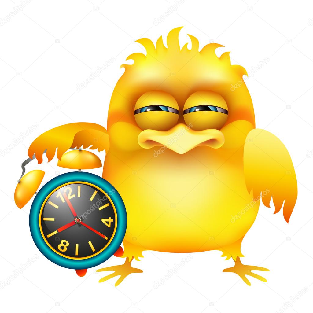Funny baby chicken and alarm clock