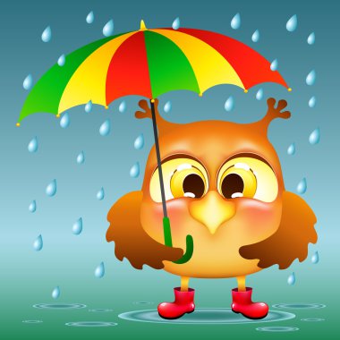 lastik çizmeler içinde şemsiye ile baykuş