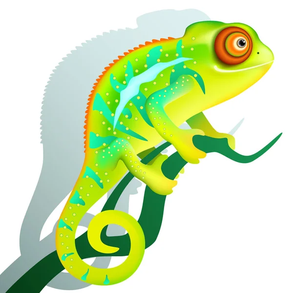 Legrační Kreslený Barevný Chameleon Sedí Větvi Exotické Tropické Zvíře Stínem — Stockový vektor