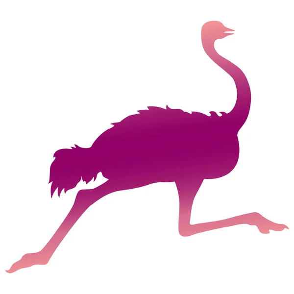 Бег Силуэт Страуса Белом Фоне Фиолетовая Большая Птица Изолированная Векторная — стоковый вектор