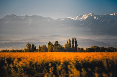 Sabahları güzel bir dağ manzarası. Sonbaharda dağlar..