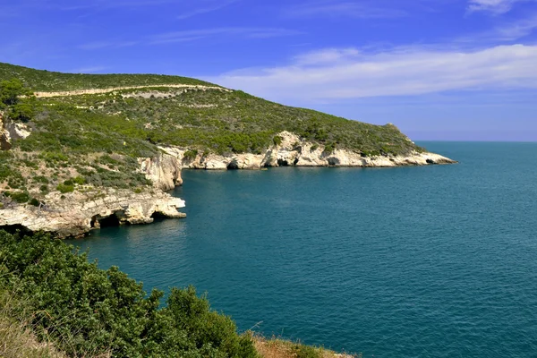 Gargano vue sur la côte . — Photo