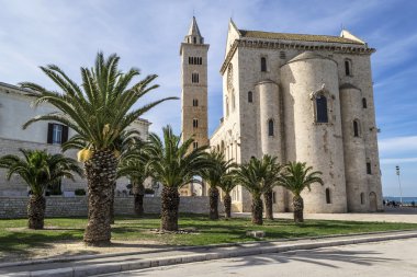 Trani Katedrali'nin palms ile