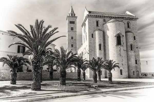 Trani Katedrali'nin palms ile — Stok fotoğraf