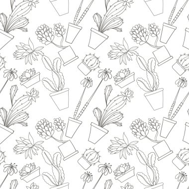 Kusursuz kaktüs deseni