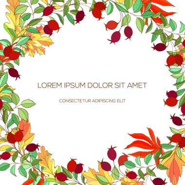 Alıç ve sonbahar yapraklarıel çizilmiş çelenk