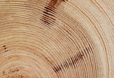 Doğal desenli ahşap doku