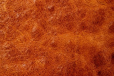 kahverengi deri dokusu arkaplanı