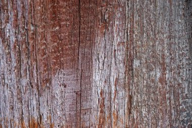 Doğal desenli ahşap doku