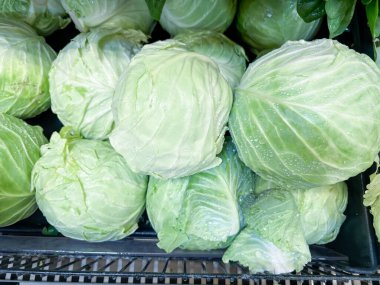 Fred Meyer 'de yerel bir çiftçi pazarında lahana sergileniyor.