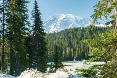 Yazın Rainier Dağı, Washington 'da önemli bir dağdır.