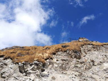 Altın Çimen ve Gökyüzü ile Craggy Tepesi 'nin Yukarı Manzarası