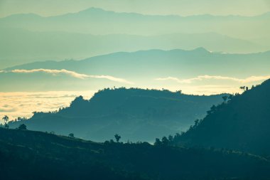 Sis ve serin sabah ışığı ile sakin dağ manzarası
