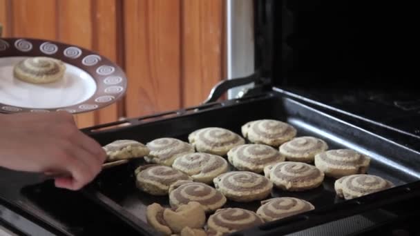 Ama de casa obtiene galletas calientes del horno — Vídeos de Stock