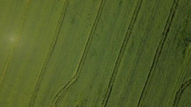 İnsansız hava aracı yeşil alanın üzerinde dönüyor.