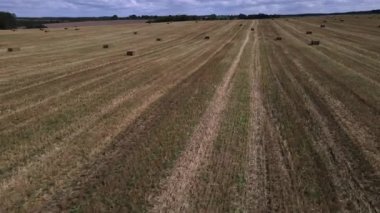 Bir tarım alanının kuş bakışı görüntüsü