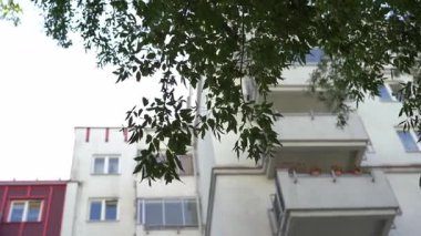 Ön planda yeşil ağaç dalları ve arka planda balkonları olan bir apartman dairesinin bulanık manzarası.