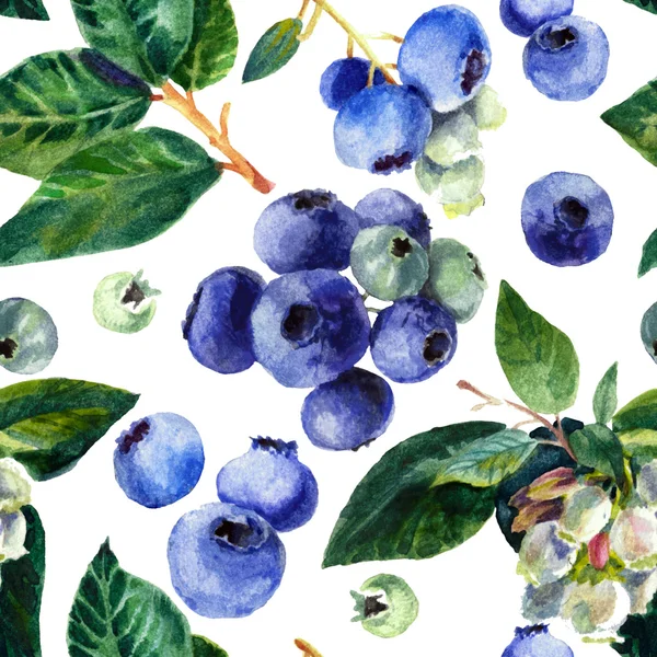 Muster mit Blaubeeren. Aquarell auf weißem Hintergrund — Stockfoto