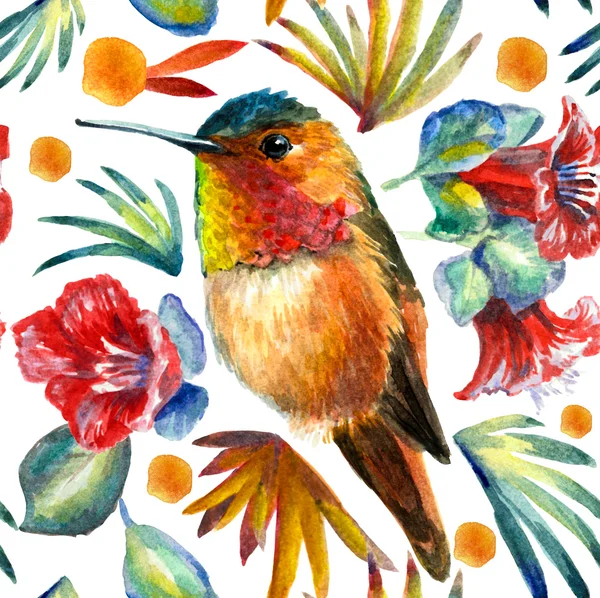 Hummingbirds and flowers pattern. Watercolor composition — Stock fotografie