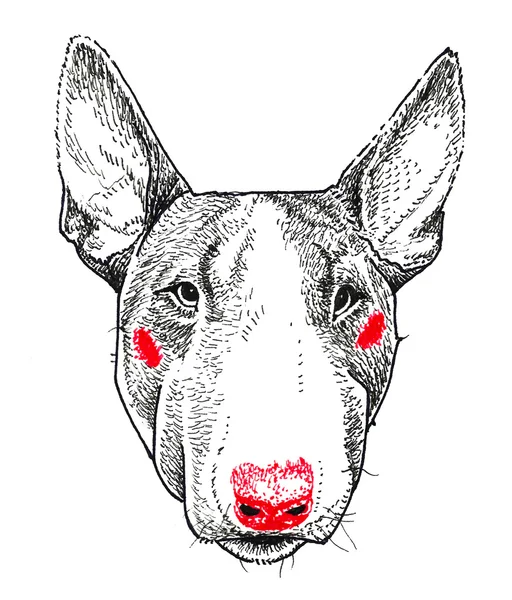 Bullterrier Dog Portrait. Impressão e padrão. Desenho manual — Fotografia de Stock