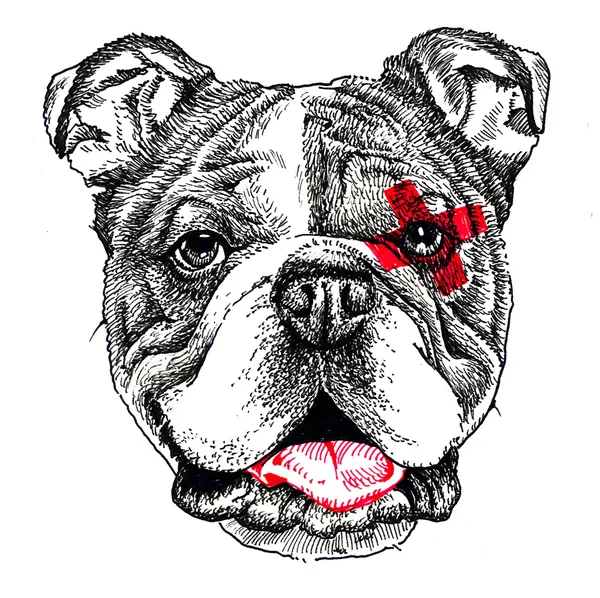 Retrato de Staffordshire Bull Terrier. Impressão e padrão. Desenho manual — Fotografia de Stock