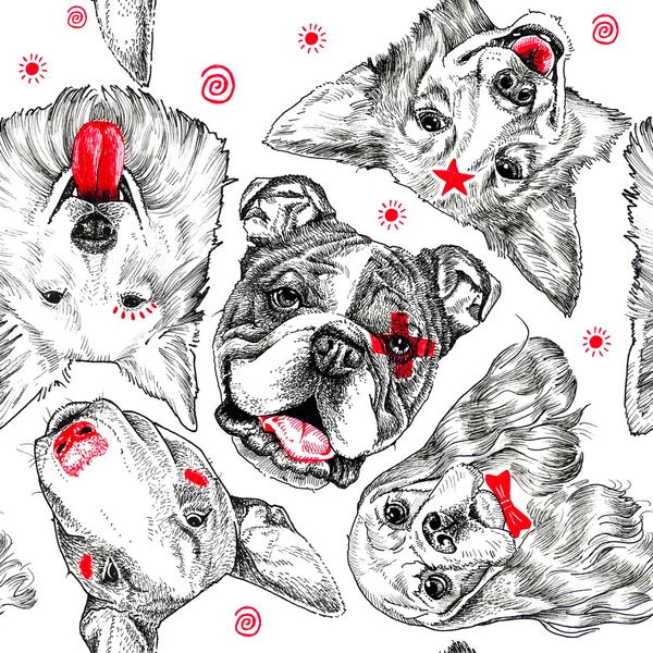 Köpek kafaları koleksiyonu. Desen, yazdırma. El çizimi — Stok fotoğraf