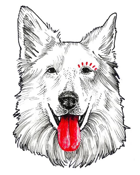 Belgian shepherd dog. Print and pattern. Hand drawing — Φωτογραφία Αρχείου