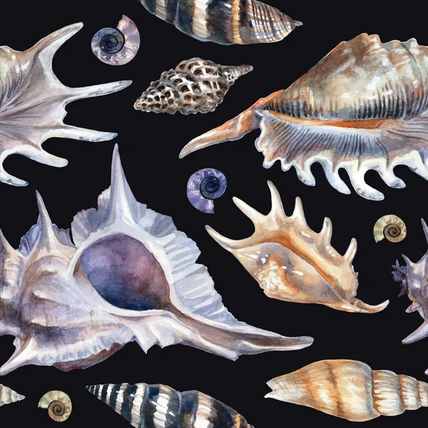 Watercolor pattern with seashells on a black background. Detailed painting in blue pastel colors — Stock fotografie