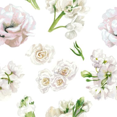 Pastel renkler, çiçek desenli, beyaz gül beyaz arka plan üzerinde izole. Suluboya resim