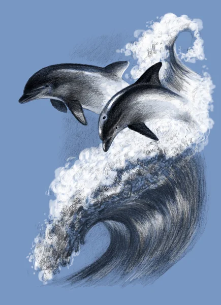 Due delfini su un'onda. Disegno a matita su sfondo blu, immagine della mano — Foto Stock